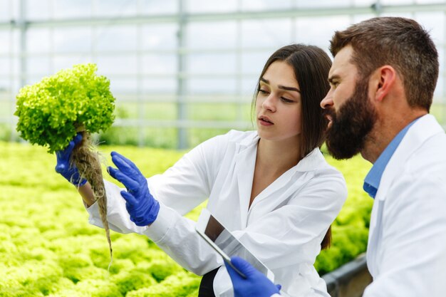 Naturalne podejście do ochrony roślin i zdrowia zwierząt: korzyści biotechnologicznych rozwiązań w rolnictwie